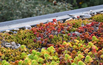 the cost of Haxey Carr green roof installation