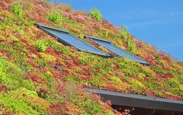 Haxey Carr living roof systems