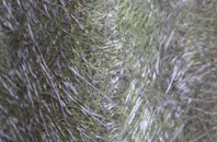 Haxey Carr fibreglass roof work